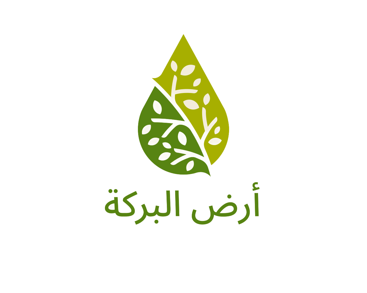 Ard Albaraka Logo